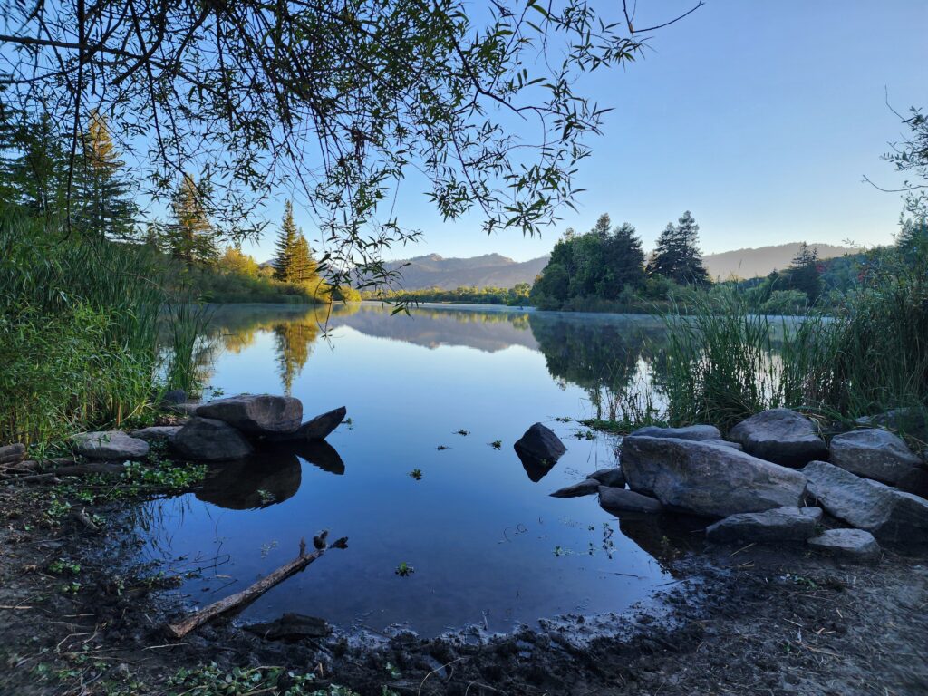 Morning walk - Lake Sonoma California